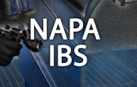 NAPA IBS (Integrated Business Solutions)